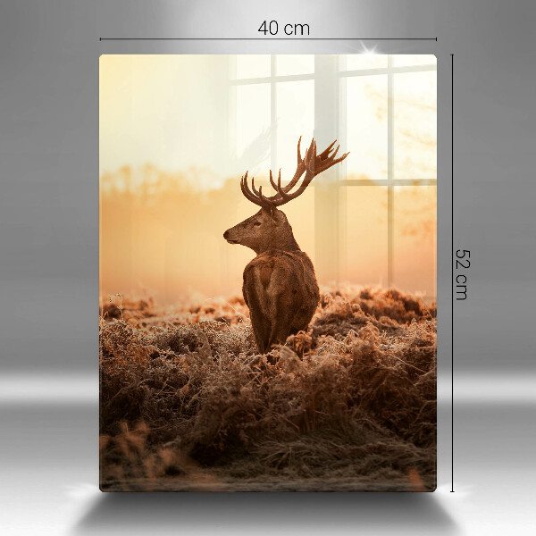 Kuchynská doska veľká zo skla Jeleň v poli