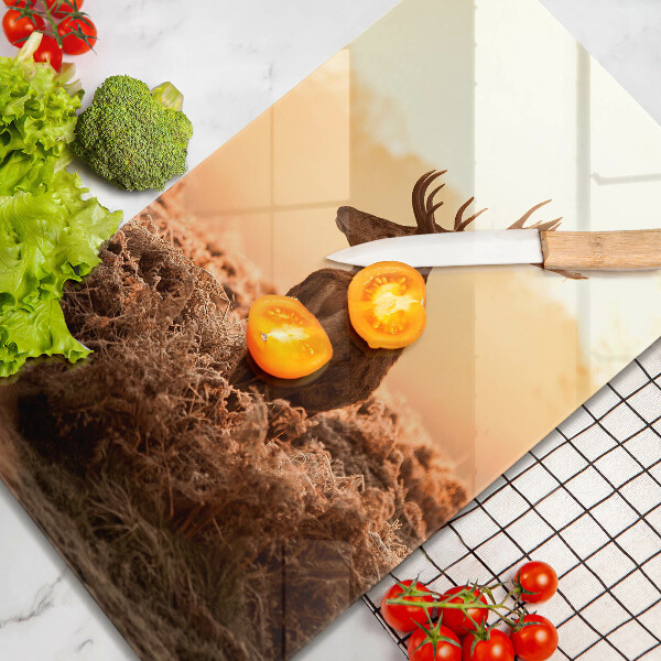 Kuchynská doska veľká zo skla Jeleň v poli