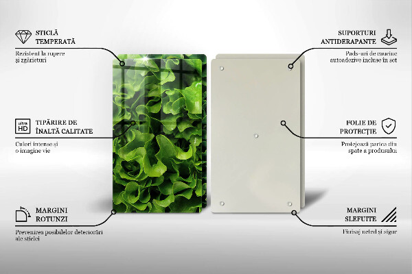 Kuchynská doska veľká zo skla Listy zeleného šalátu