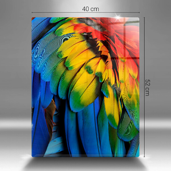 Kuchynská doska zo skla Farebné papagájové perie