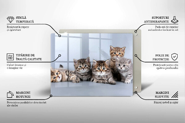 Sklenená doska na krájanie Sladké mačiatka