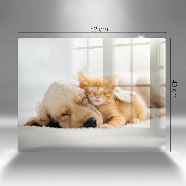 Sklenená doska na krájanie Zvieratá pes a mačka