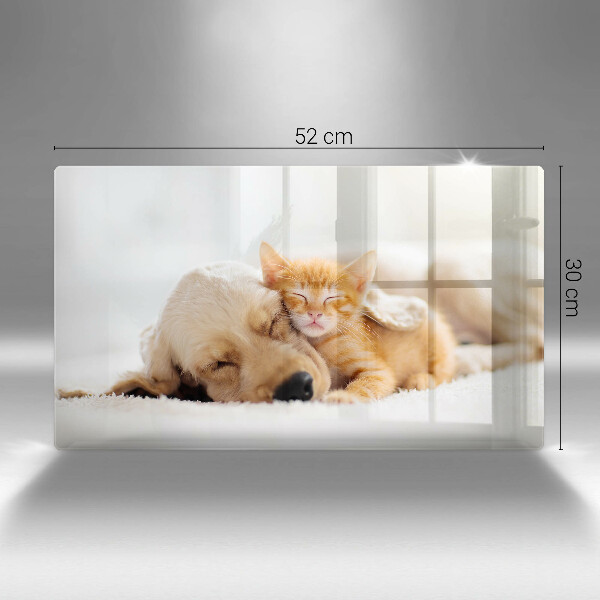 Sklenená doska na krájanie Zvieratá pes a mačka