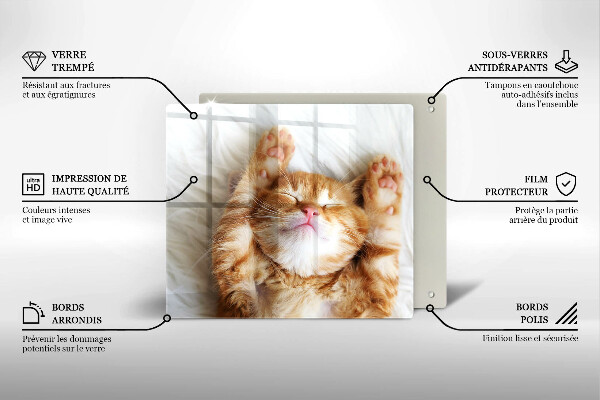 Sklenená doska na krájanie Malé roztomilé mačiatko