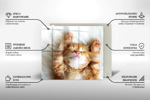 Sklenená doska na krájanie Malé roztomilé mačiatko