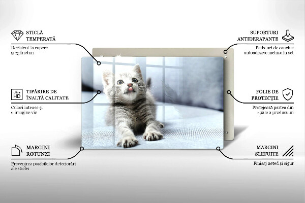 Kuchynská doska zo skla Malé roztomilé mačiatko