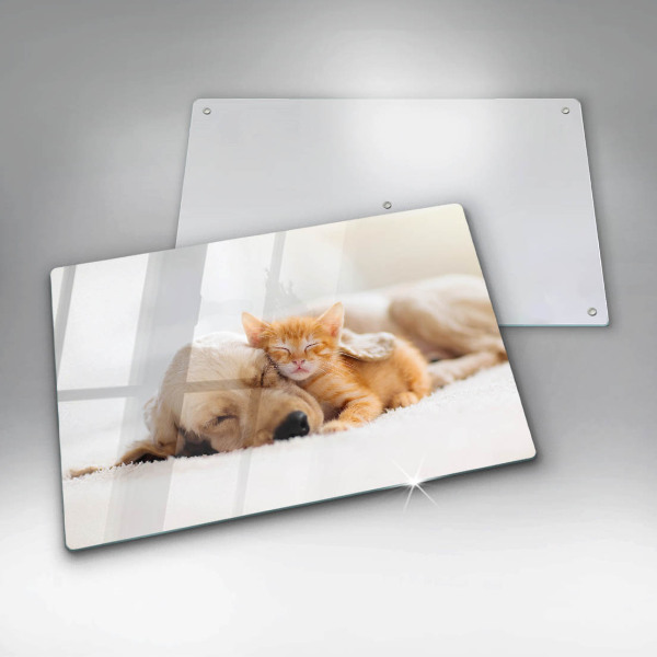 Kuchynská doska zo skla Zvieratá pes a mačka