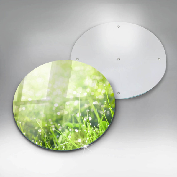 Kuchynská doska zo skla Príroda - tráva a rosa