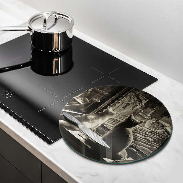 Kuchynská doska zo skla Mesto mačky a okno