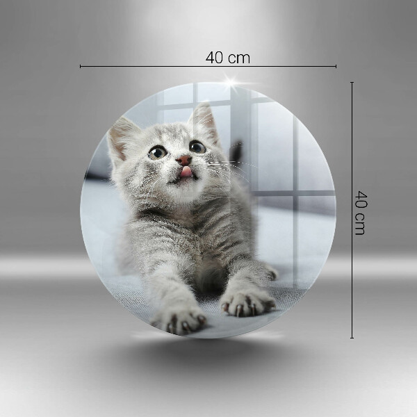 Kuchynská doska zo skla Malé roztomilé mačiatko