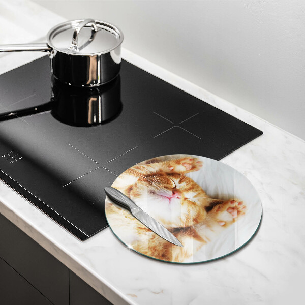 Kuchynská doska zo skla Malé roztomilé mačiatko