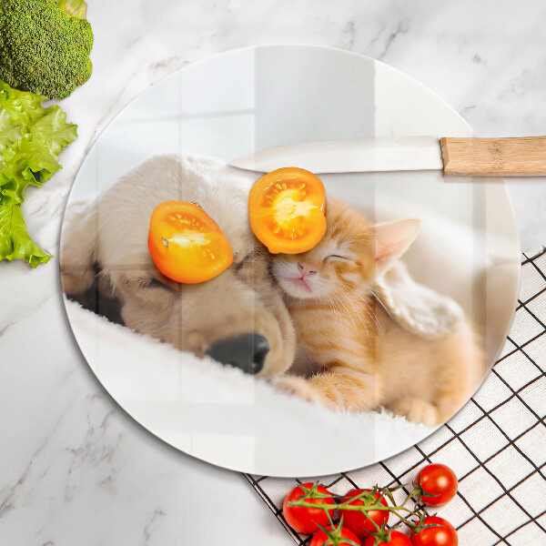 Kuchynská doska veľká zo skla Zvieratá pes a mačka