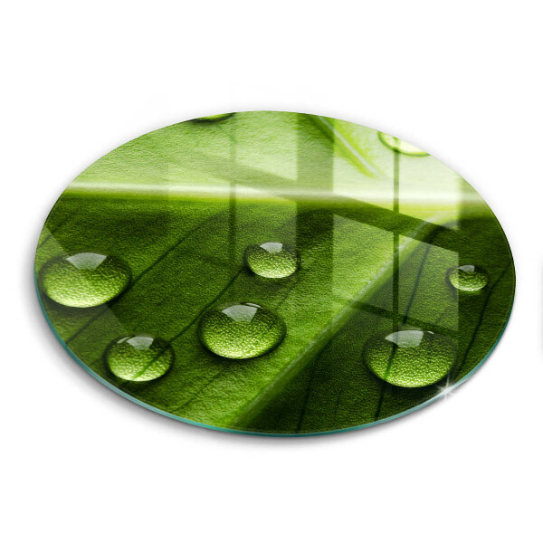 Kuchynská doska zo skla Príroda rosa a list