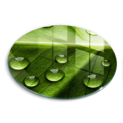 Kuchynská doska zo skla Príroda rosa a list