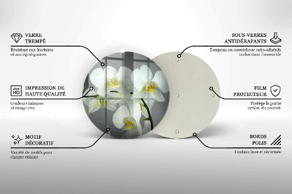 Kuchynská doska zo skla Biele kvety orchideí