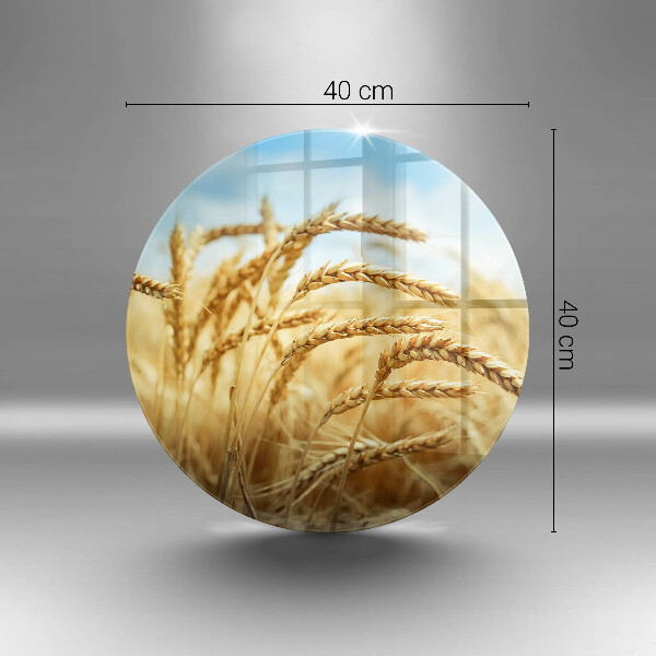 Kuchynská doska veľká zo skla Klasy obilnín na poli