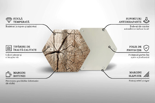 Kuchynská doska zo skla Prierez stromom