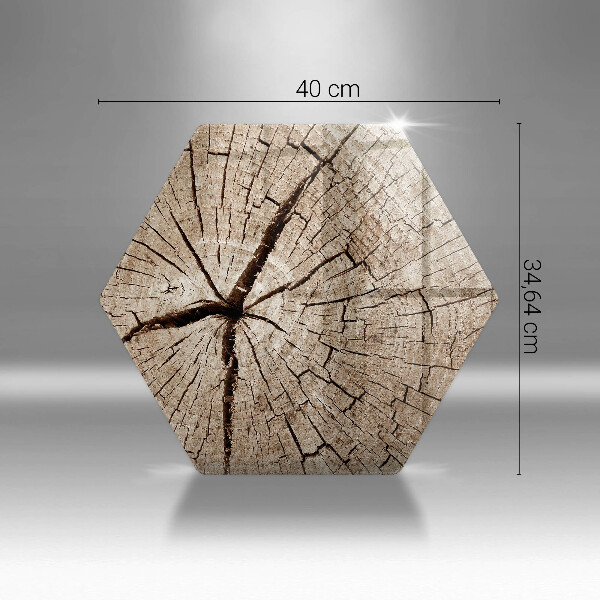 Kuchynská doska zo skla Prierez stromom