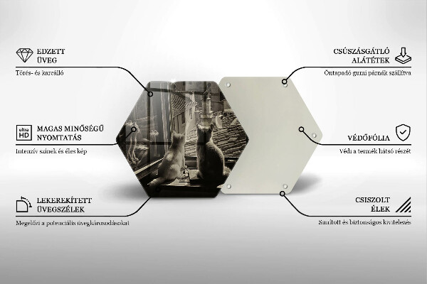 Kuchynská doska veľká zo skla Mesto mačky a okno