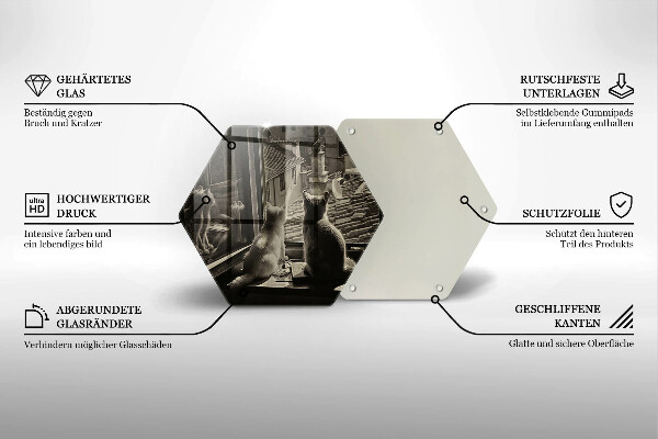 Kuchynská doska veľká zo skla Mesto mačky a okno