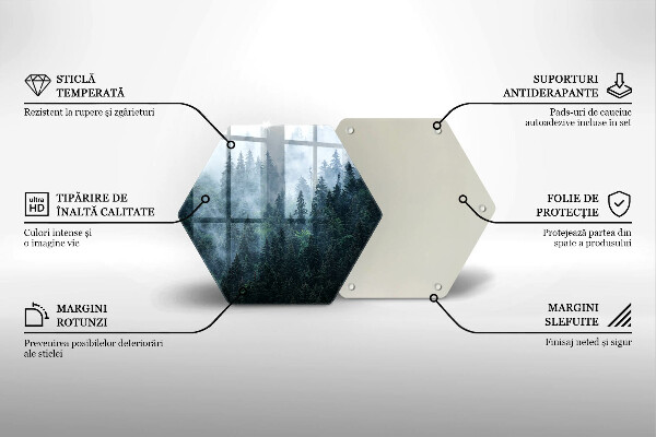Kuchynská doska zo skla Lesné stromy a hmla