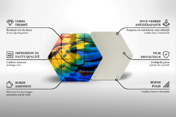 Kuchynská doska zo skla Farebné papagájové perie