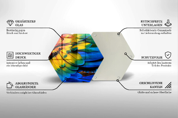 Kuchynská doska zo skla Farebné papagájové perie