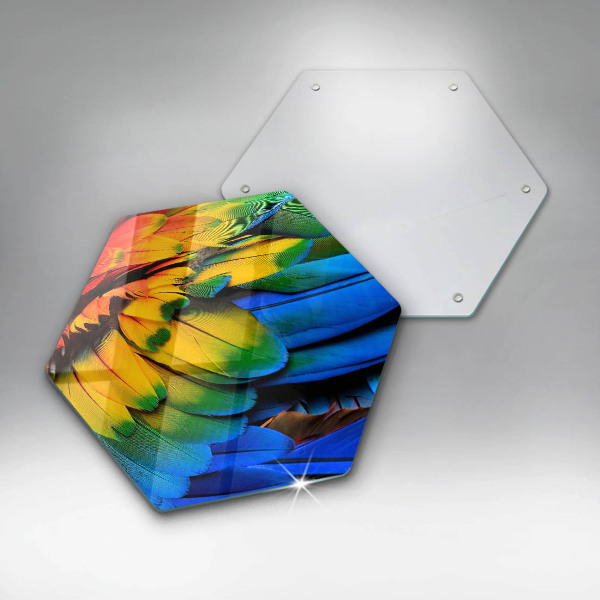 Kuchynská doska zo skla Farebné papagájové perie