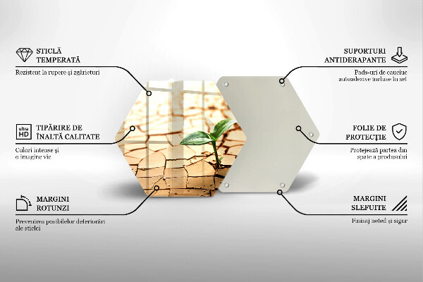 Kuchynská doska veľká zo skla Osamelá rastlina
