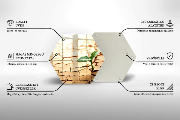 Kuchynská doska veľká zo skla Osamelá rastlina