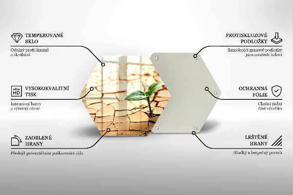 Kuchynská doska veľká zo skla Osamelá rastlina