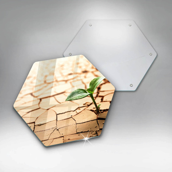 Kuchynská doska veľká zo skla Osamelá rastlina