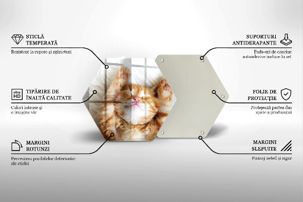 Kuchynská doska veľká zo skla Malé roztomilé mačiatko