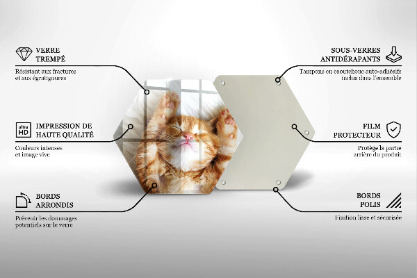 Kuchynská doska veľká zo skla Malé roztomilé mačiatko