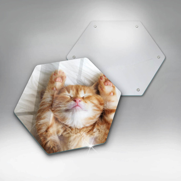 Kuchynská doska veľká zo skla Malé roztomilé mačiatko