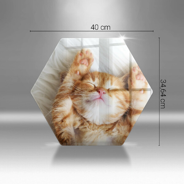 Kuchynská doska veľká zo skla Malé roztomilé mačiatko