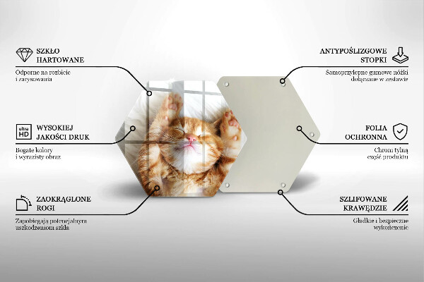 Kuchynská doska veľká zo skla Malé roztomilé mačiatko