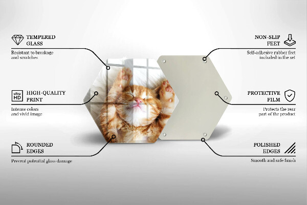 Kuchynská doska veľká zo skla Malé roztomilé mačiatko