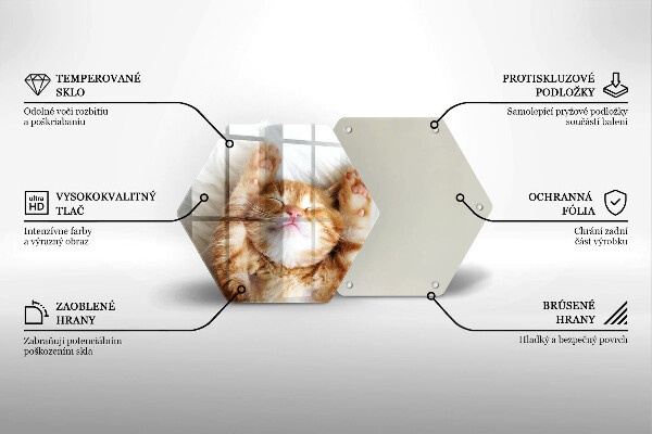 Kuchynská doska veľká zo skla Malé roztomilé mačiatko