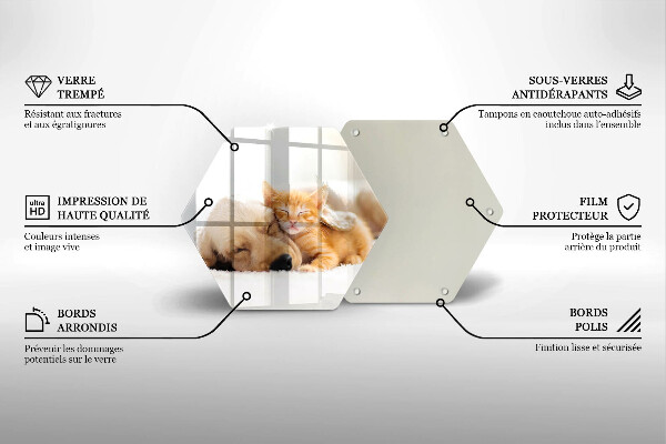 Kuchynská doska zo skla Zvieratá pes a mačka