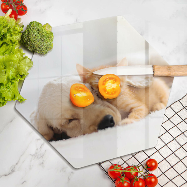 Kuchynská doska zo skla Zvieratá pes a mačka