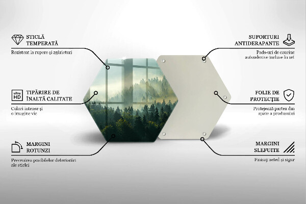 Kuchynská doska zo skla Krajina Pohľad na les