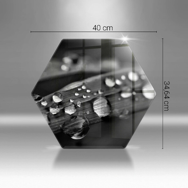 Kuchynská doska veľká zo skla Kvapky rosy na listoch