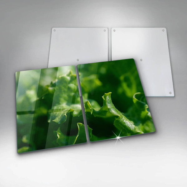 Sklo za varnú dosku Listy šalátu