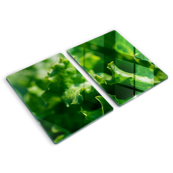 Sklo za varnú dosku Listy šalátu
