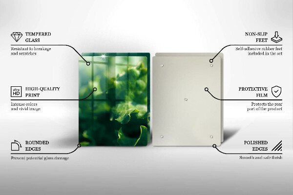 Sklo za varnú dosku Listy šalátu