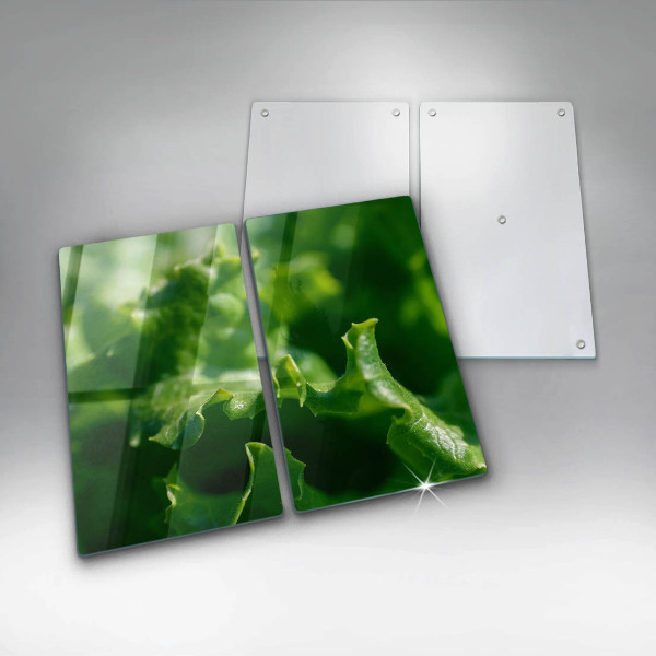 Sklo za varnú dosku Listy šalátu