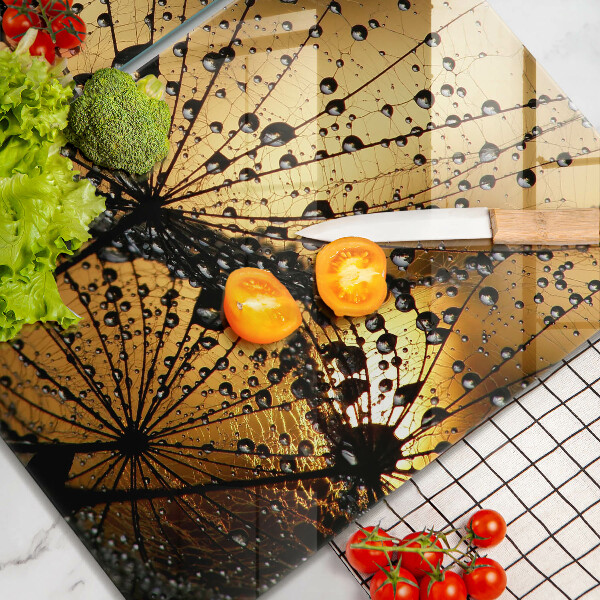 Sklo za varnú dosku Rosa a púpavy