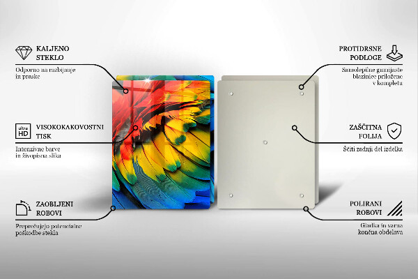 Sklo za varnú dosku Farebné papagájové perie