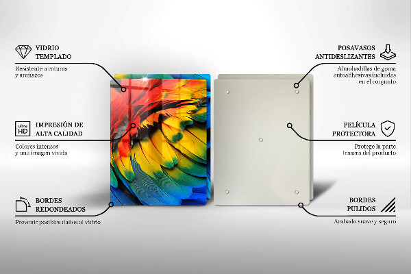 Sklo za varnú dosku Farebné papagájové perie